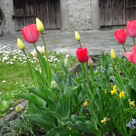 Ca Di Sciavatin San Vittore