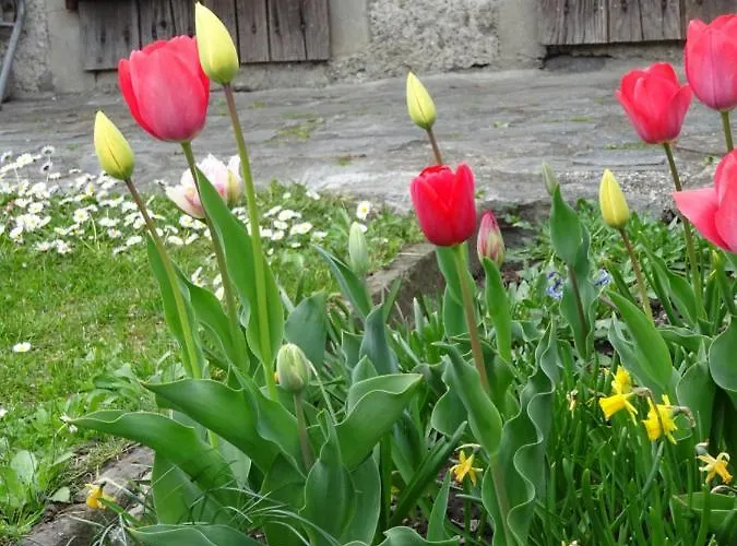 Ca Di Sciavatin San Vittore