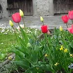Cà Di Sciavatin San Vittore